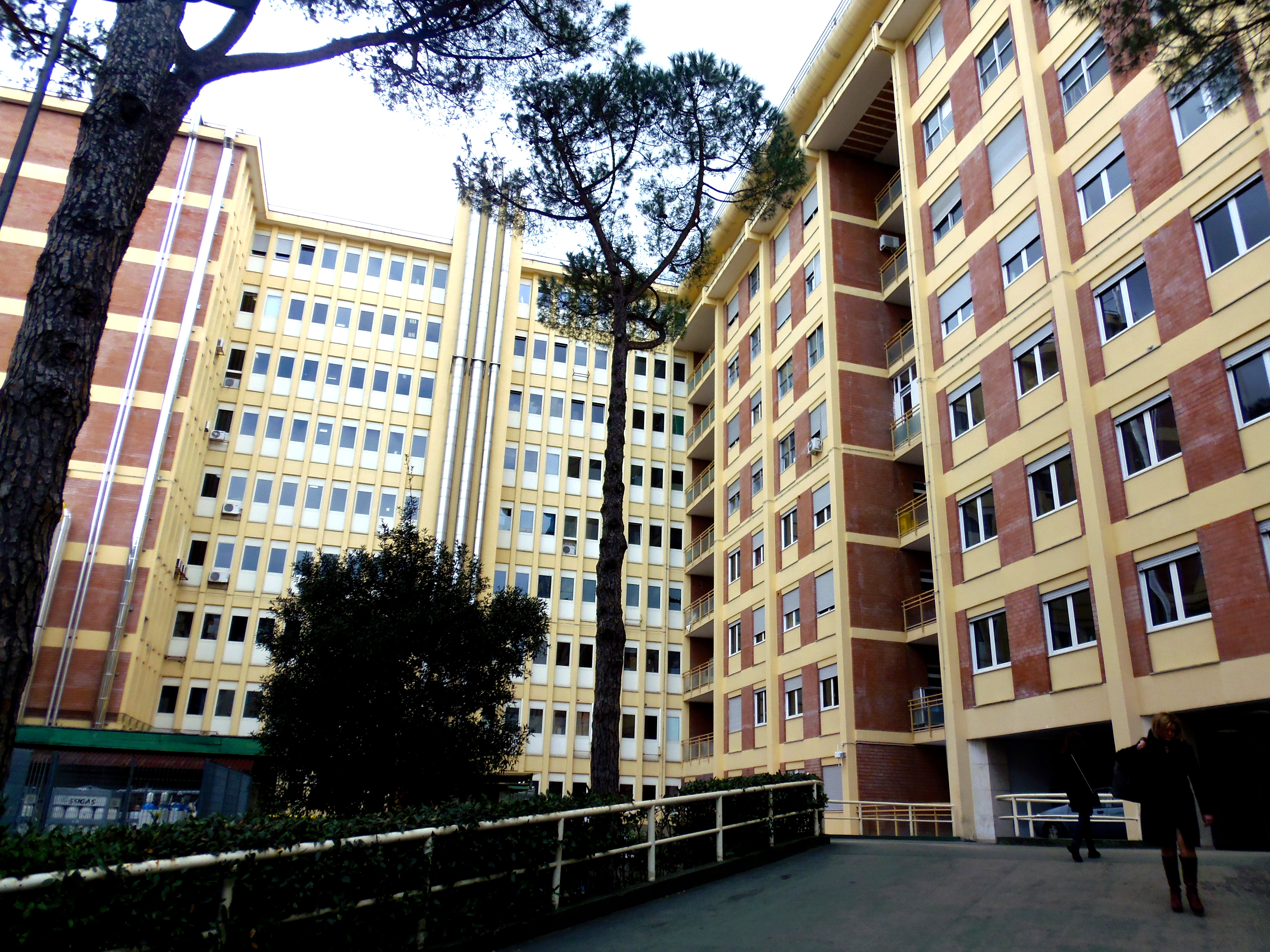pascale foundation5.jpg